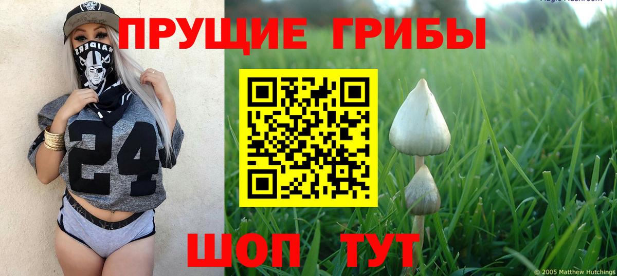 Псилоцибиновые грибы MAGIC MUSHROOMS  Вход с VPN  Псилоцибиновые грибы MAGIC MUSHROOMS  Ялта 