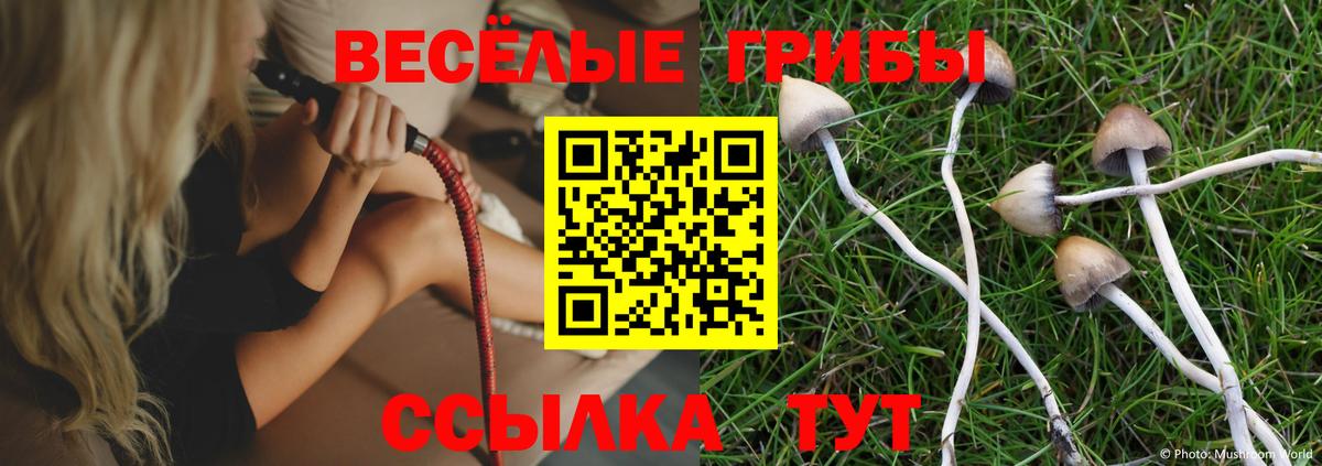 Галлюциногенные грибы мухоморы Ялта
