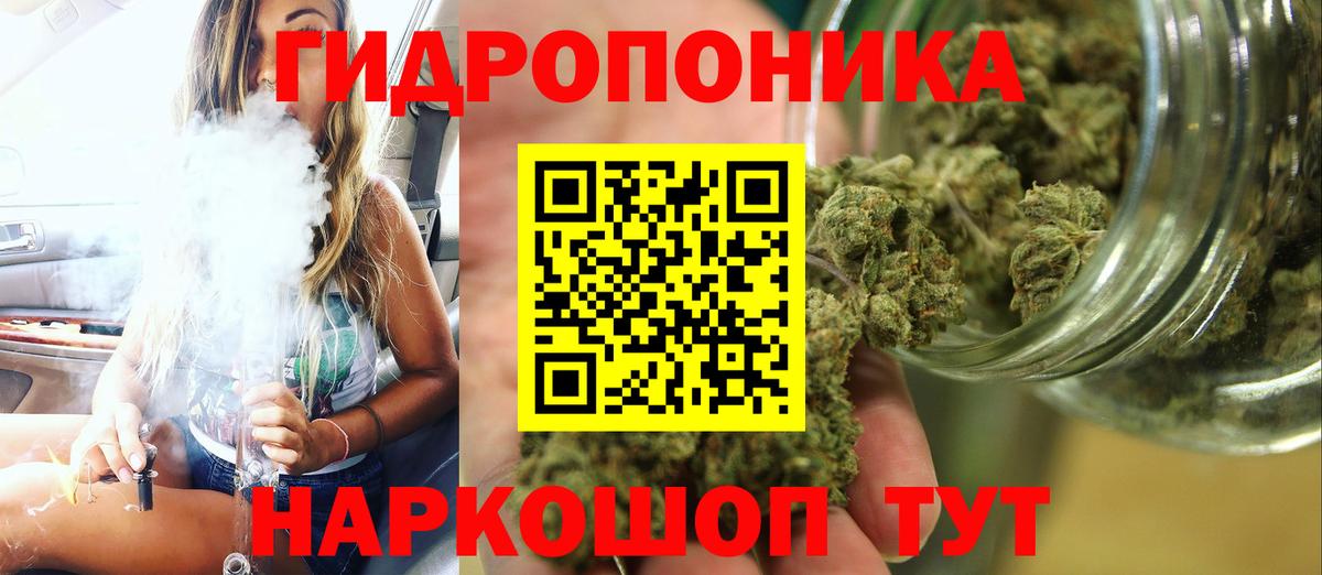 Каннабис OG Kush Ялта